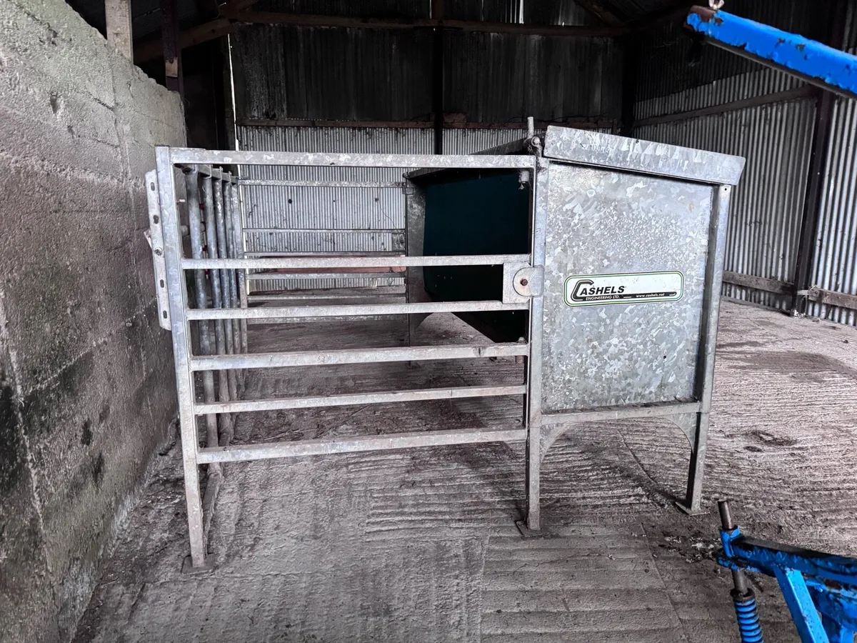 Weanling feeder + 1500KG cattle feeder - Image 1
