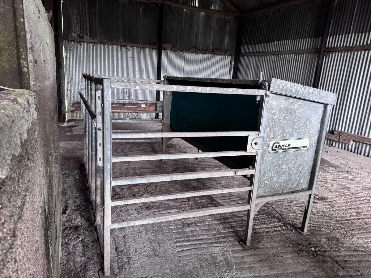 Weanling feeder + 1500KG cattle feeder - Image 2