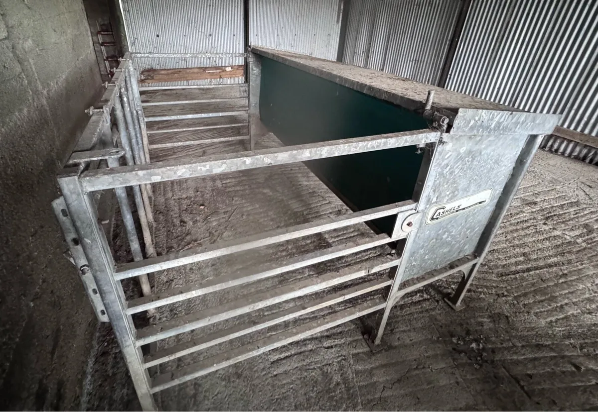 Weanling feeder + 1500KG cattle feeder - Image 4