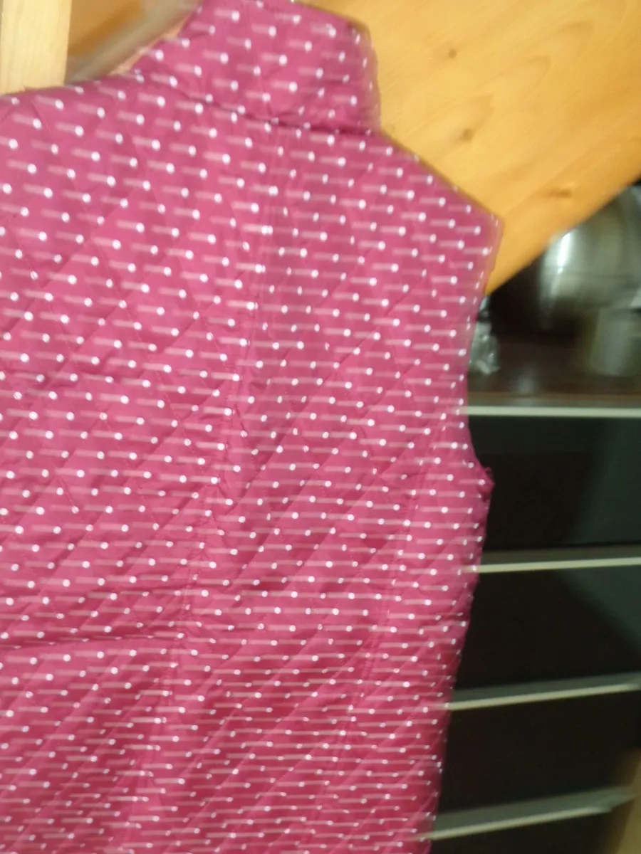 Paco Ladies Gillet Jacket for Sale - Image 3