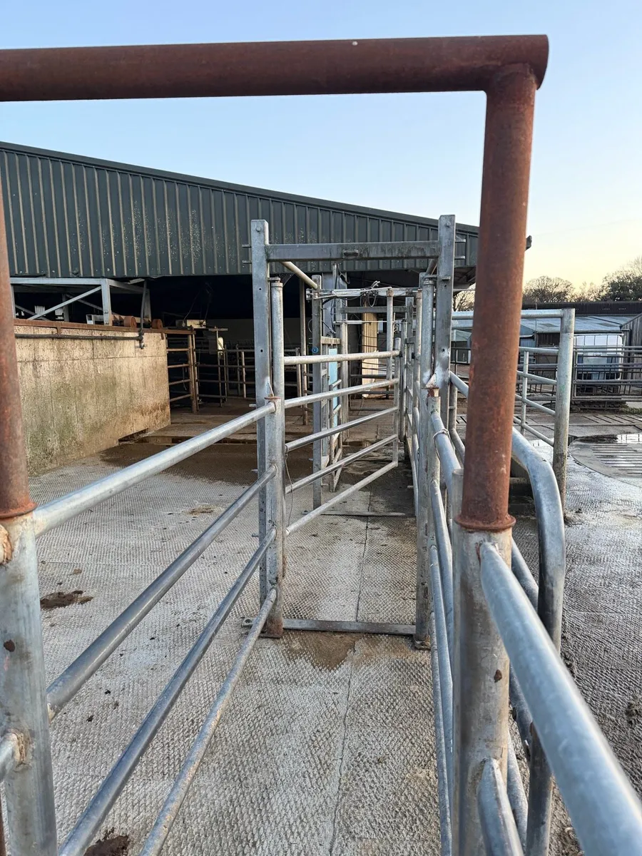 Draft Gate - Image 3