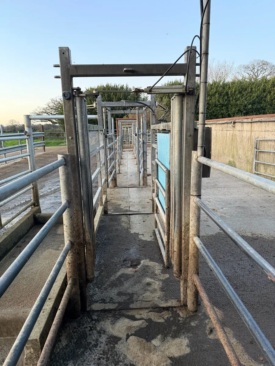 Draft Gate - Image 4