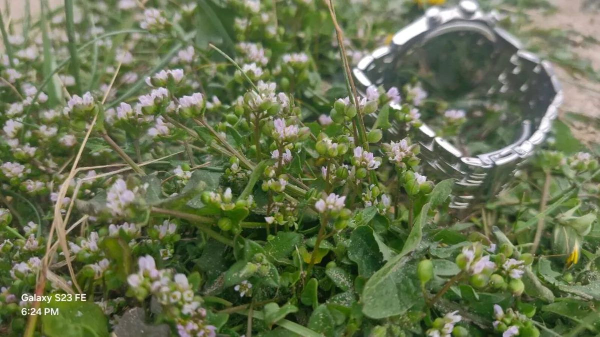 Mens stainless steel bracelet. - Image 3