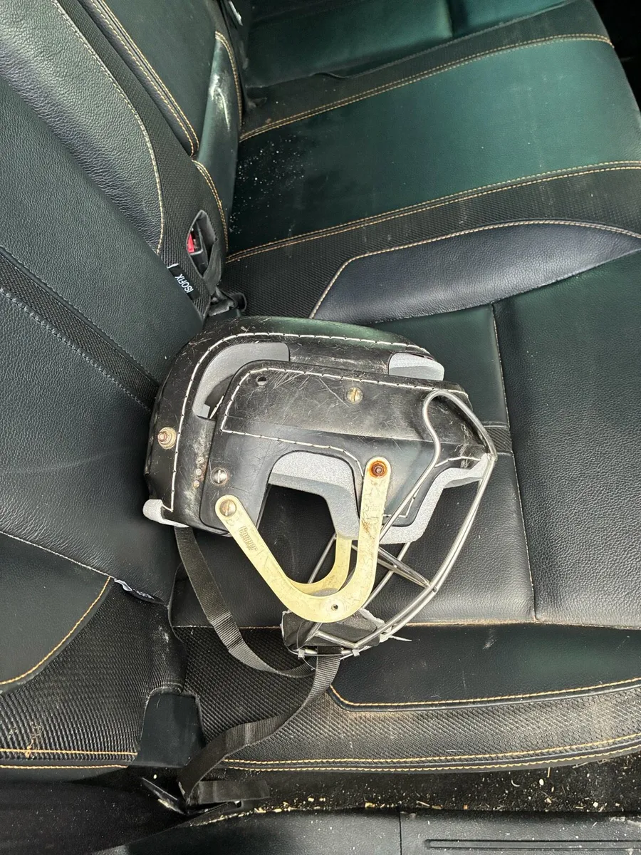 Real black gola - Image 4