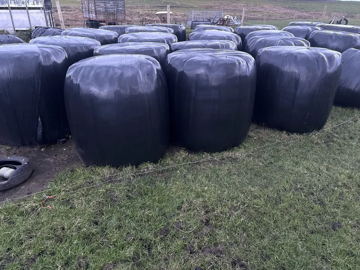 Hay / Haylage Bales - Image 2