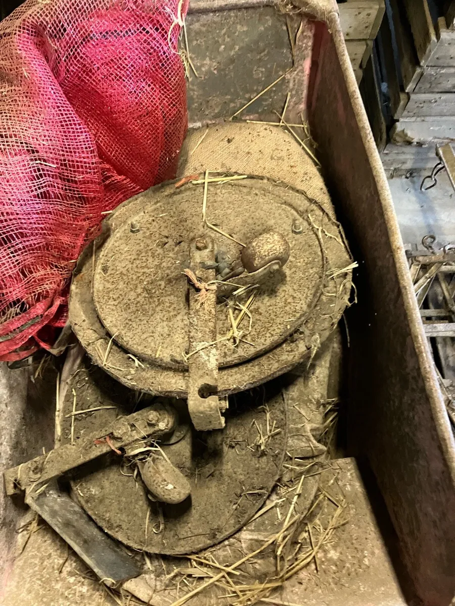 Potato grader - Image 4
