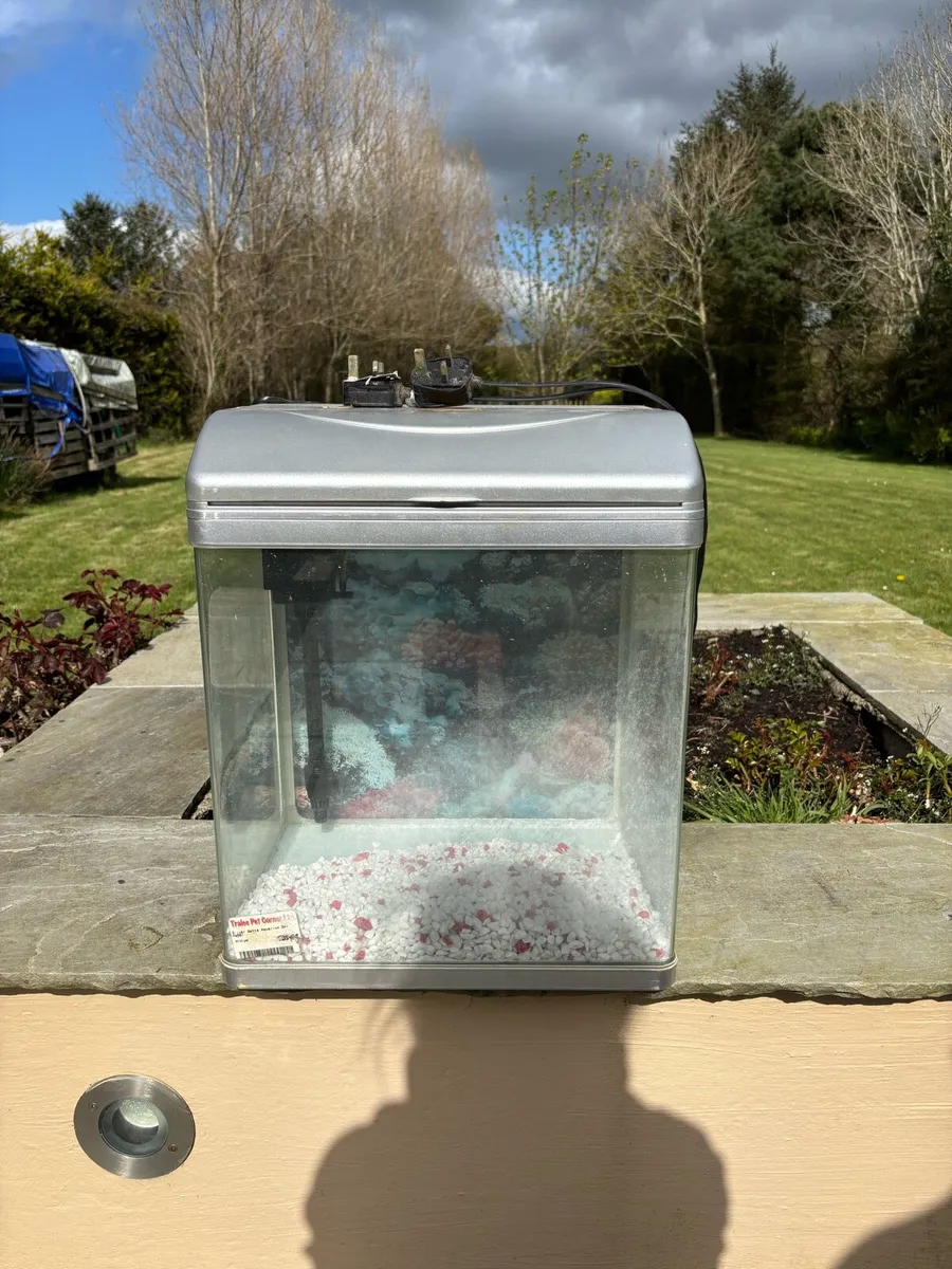 Fish Tank - Image 1