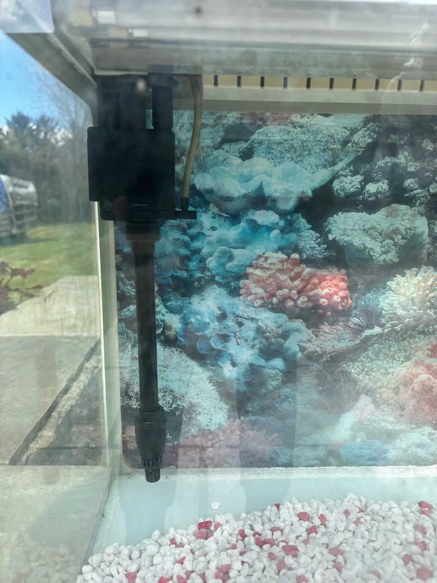 Fish Tank - Image 3
