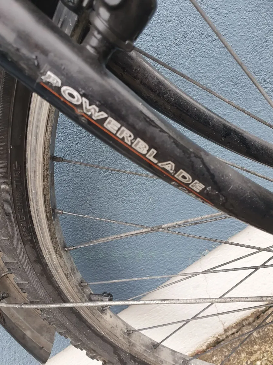 Raleigh Boulder - Image 2