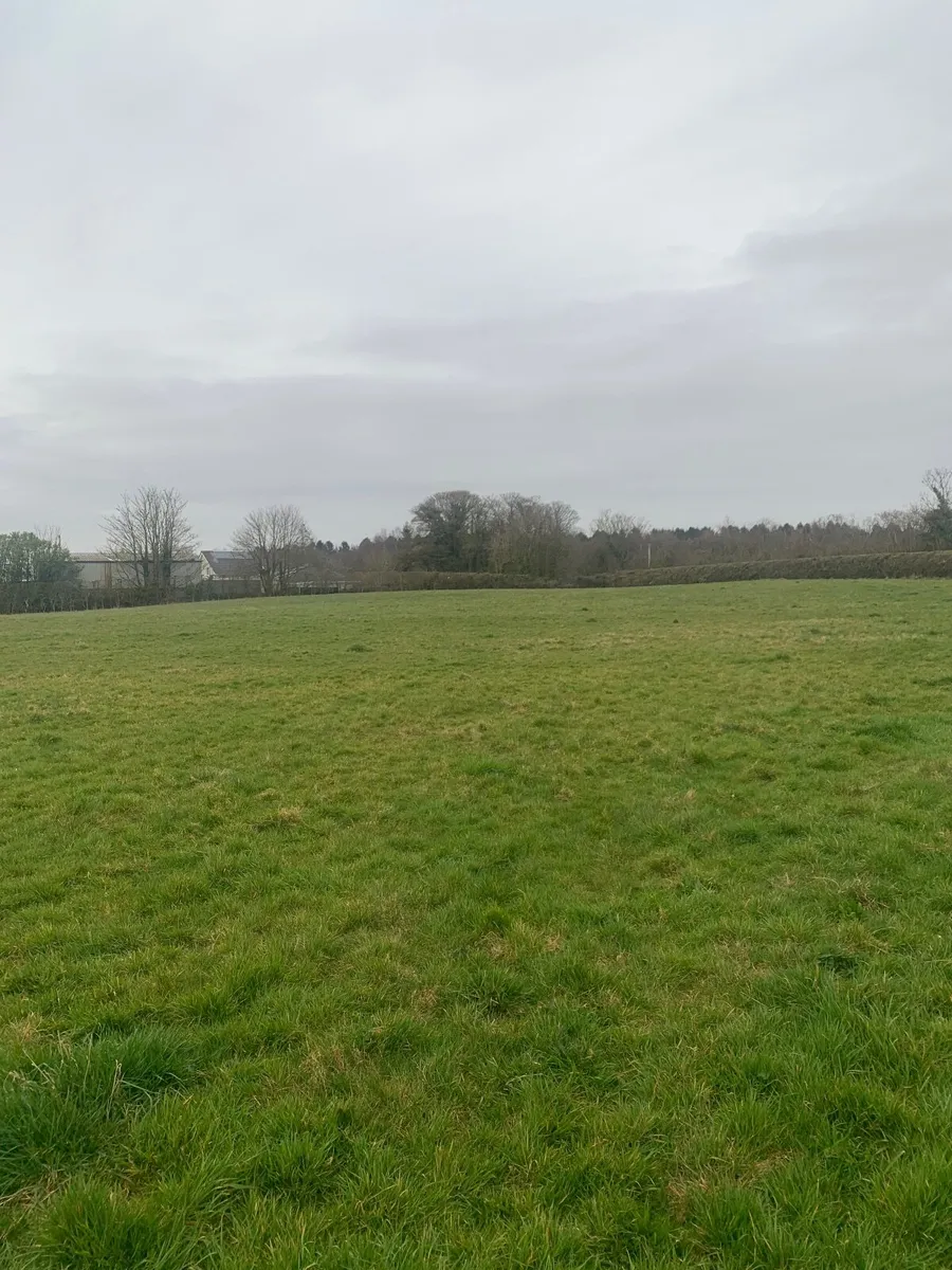 land for rent - Image 2