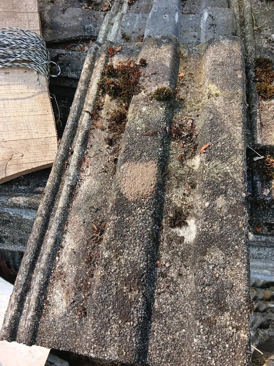 Roof tiles - Image 4