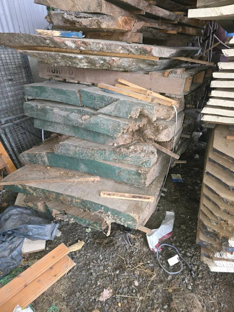 Live edge timber slabs - Image 3