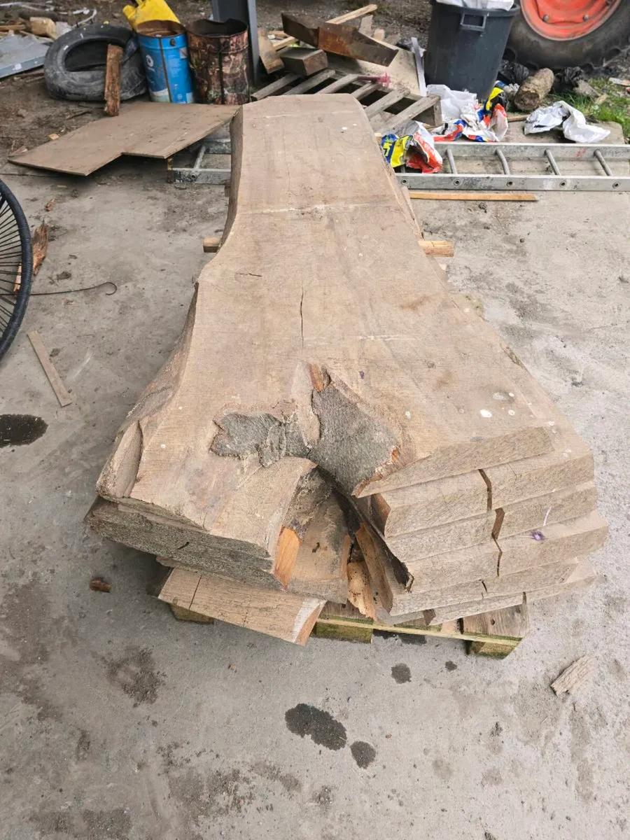 Live edge timber slabs - Image 4