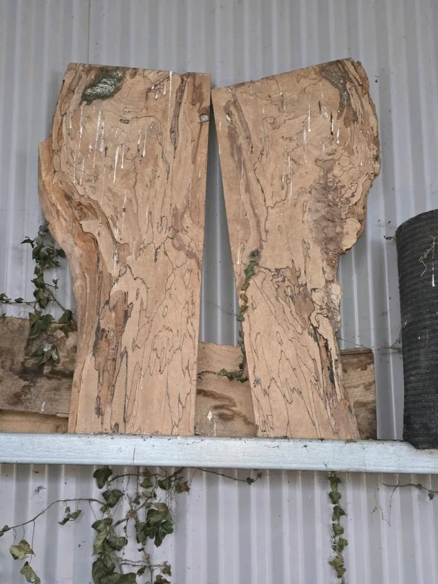 Live edge timber slabs - Image 2