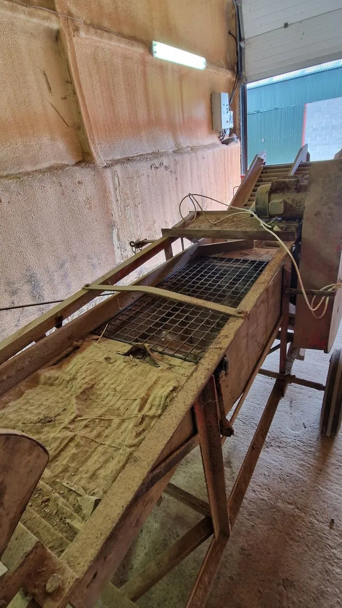Potatoe grader - Image 3