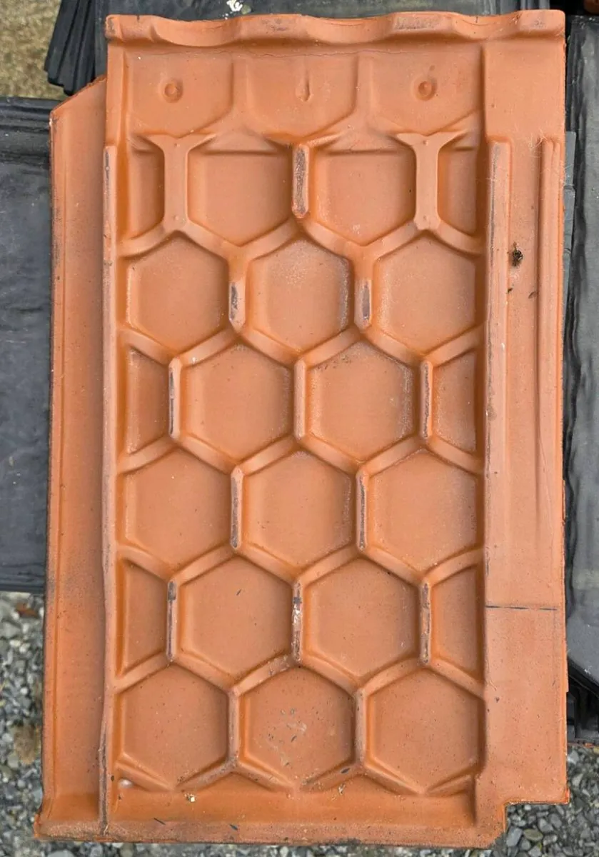 Lagan Snowden Roof Tiles - Image 2