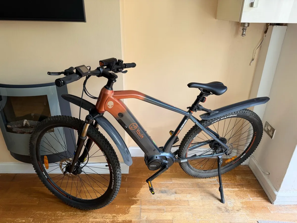 Electric bike - Image 1