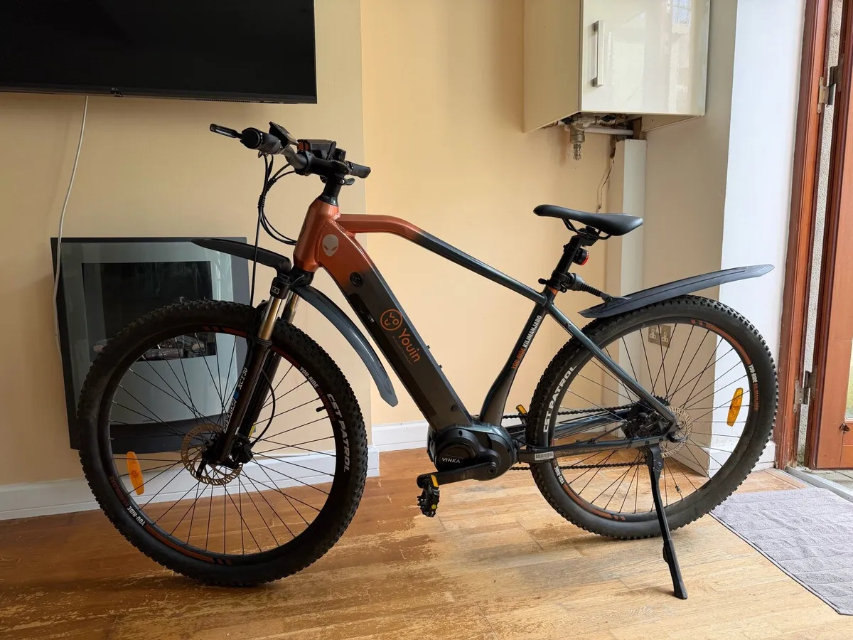 Electric bike - Image 2