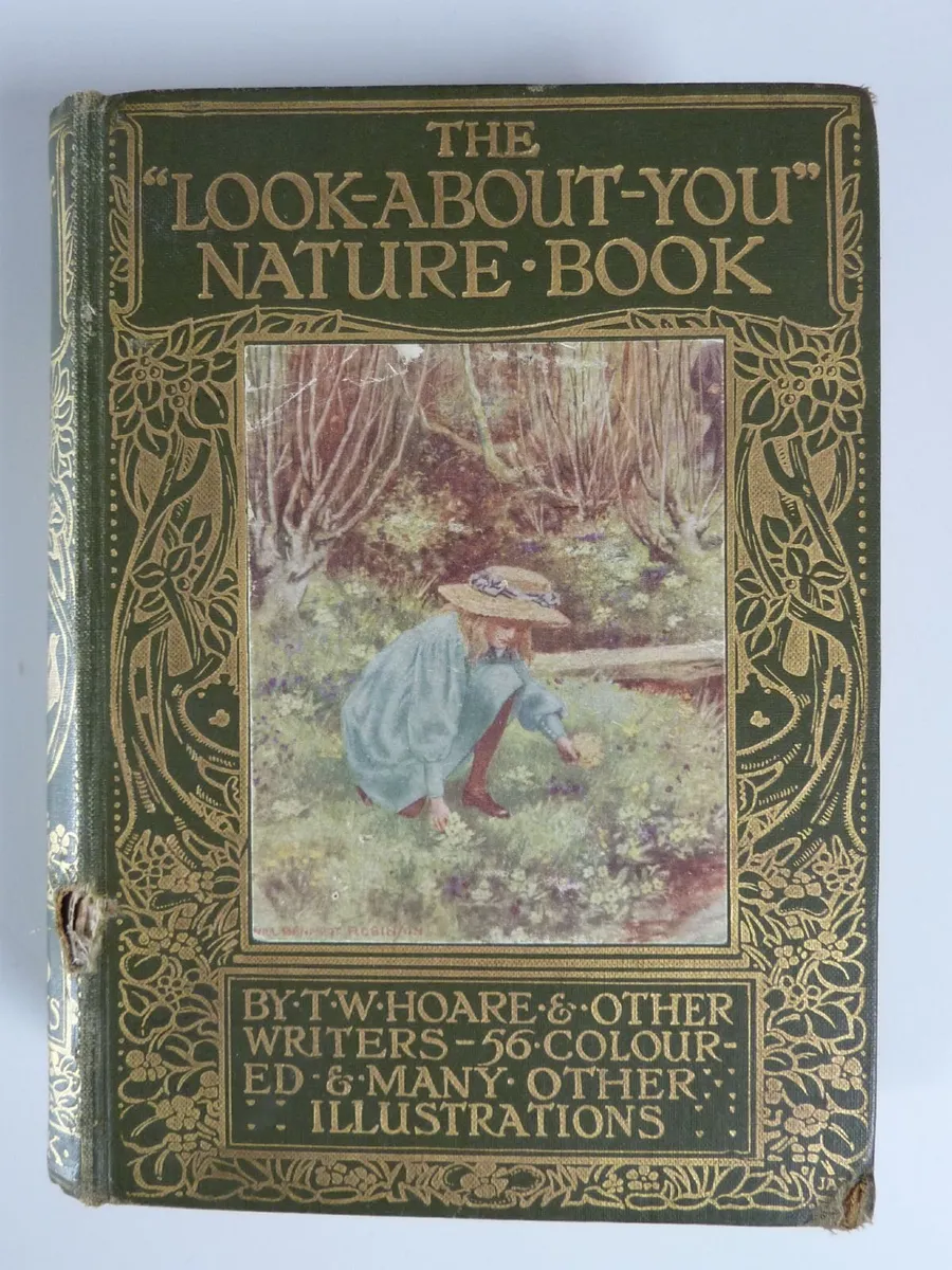 The "Look-about-you" nature book - Image 1