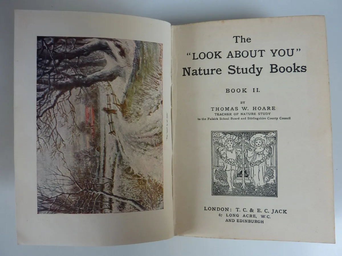 The "Look-about-you" nature book - Image 3