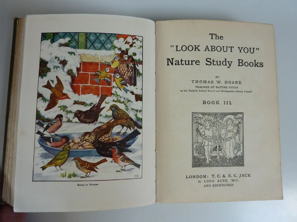 The "Look-about-you" nature book - Image 4