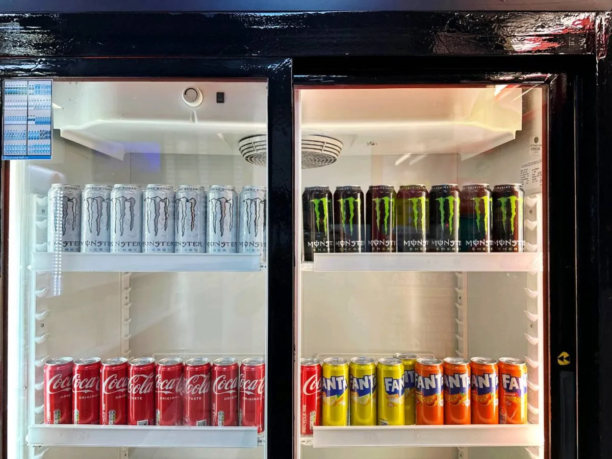 Commercial Display Drinks Fridge  Double Door - Image 3