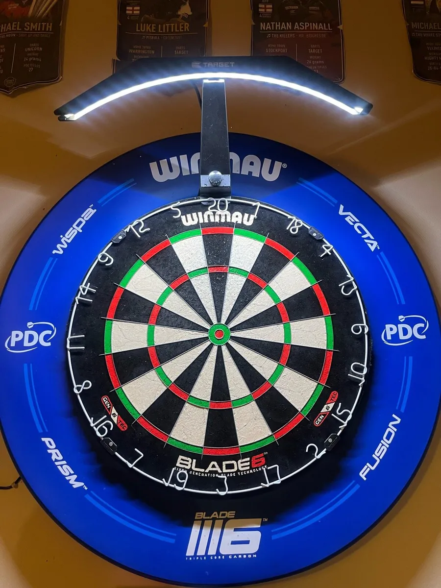 Dartboard + Light + Surround - Image 1