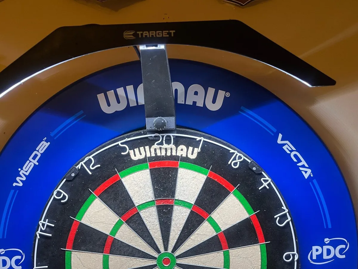 Dartboard + Light + Surround - Image 2