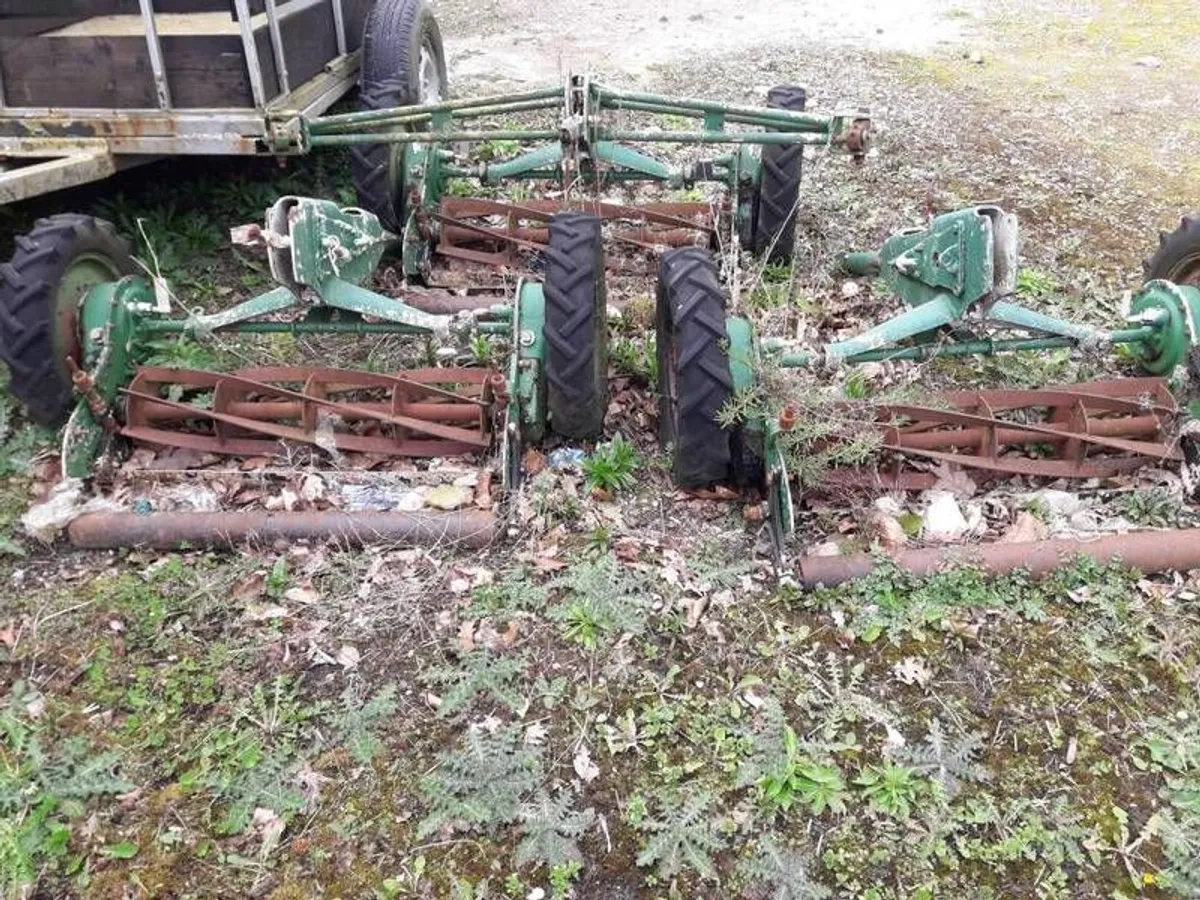 gang mower - Image 2