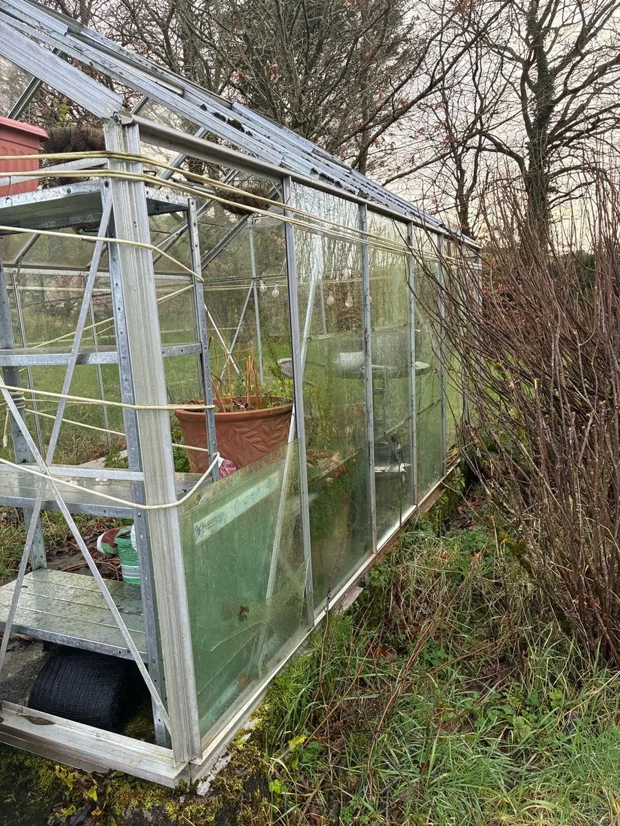 Greenhouse - Image 4