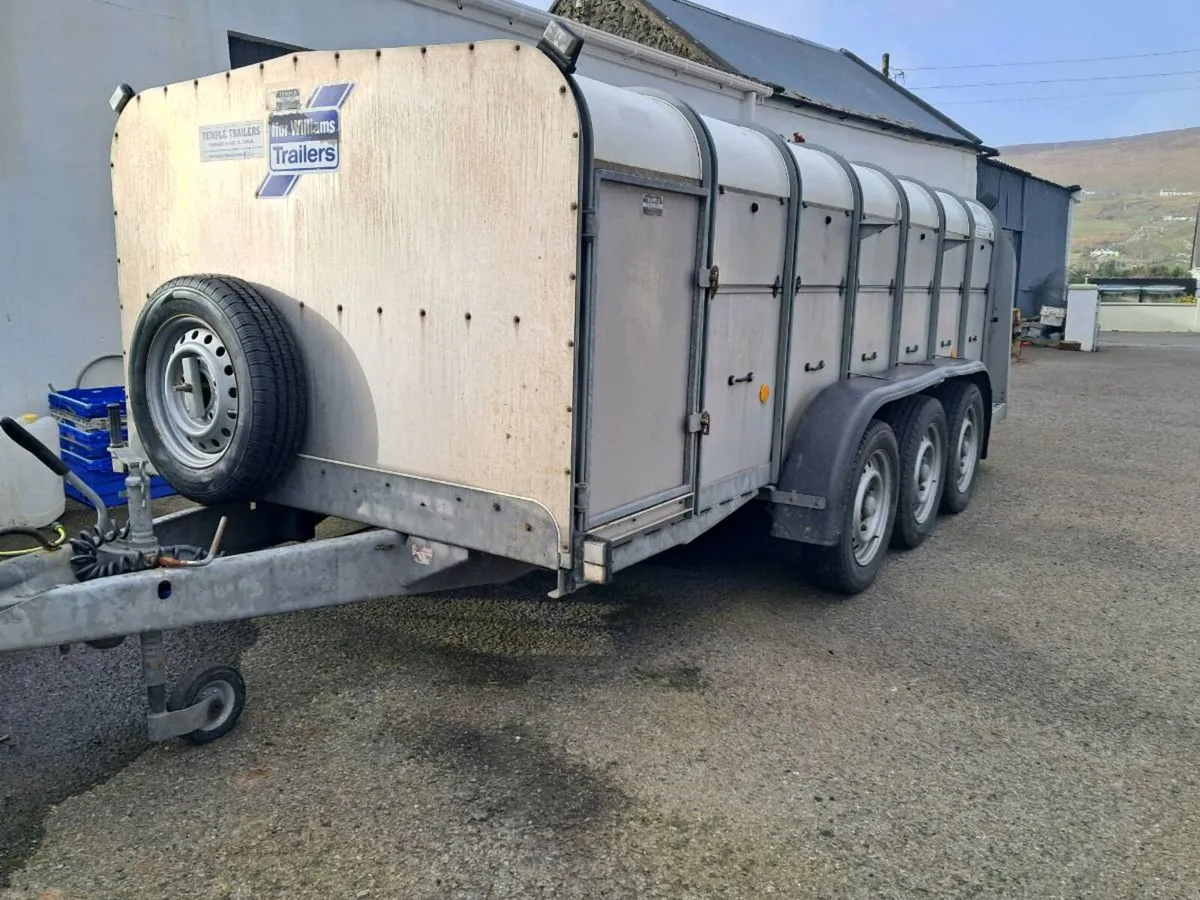 14ft Sheep trailer - Image 1