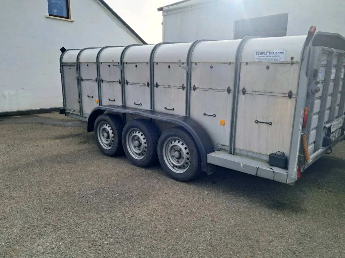 14ft Sheep trailer - Image 2