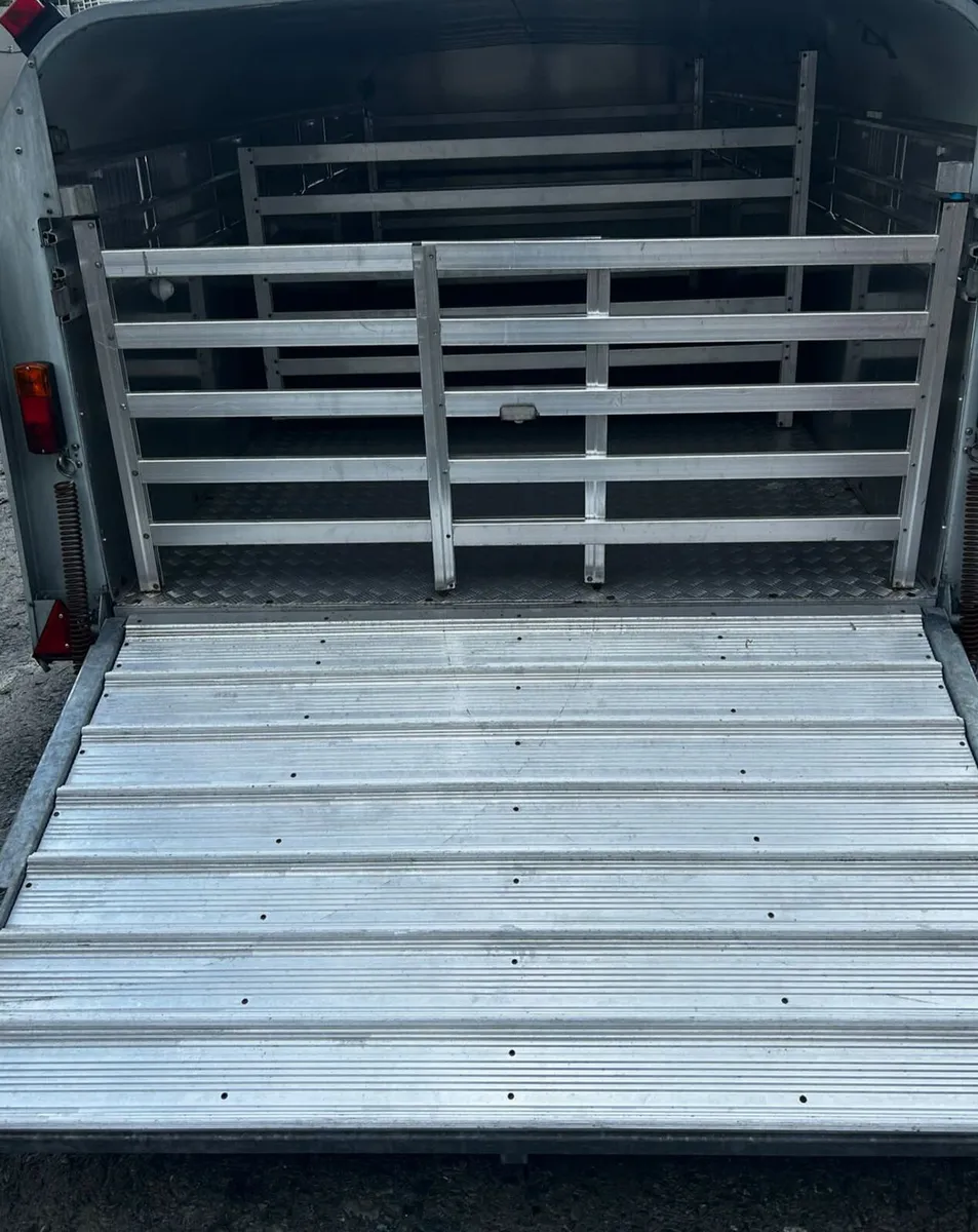 14ft Sheep trailer - Image 3