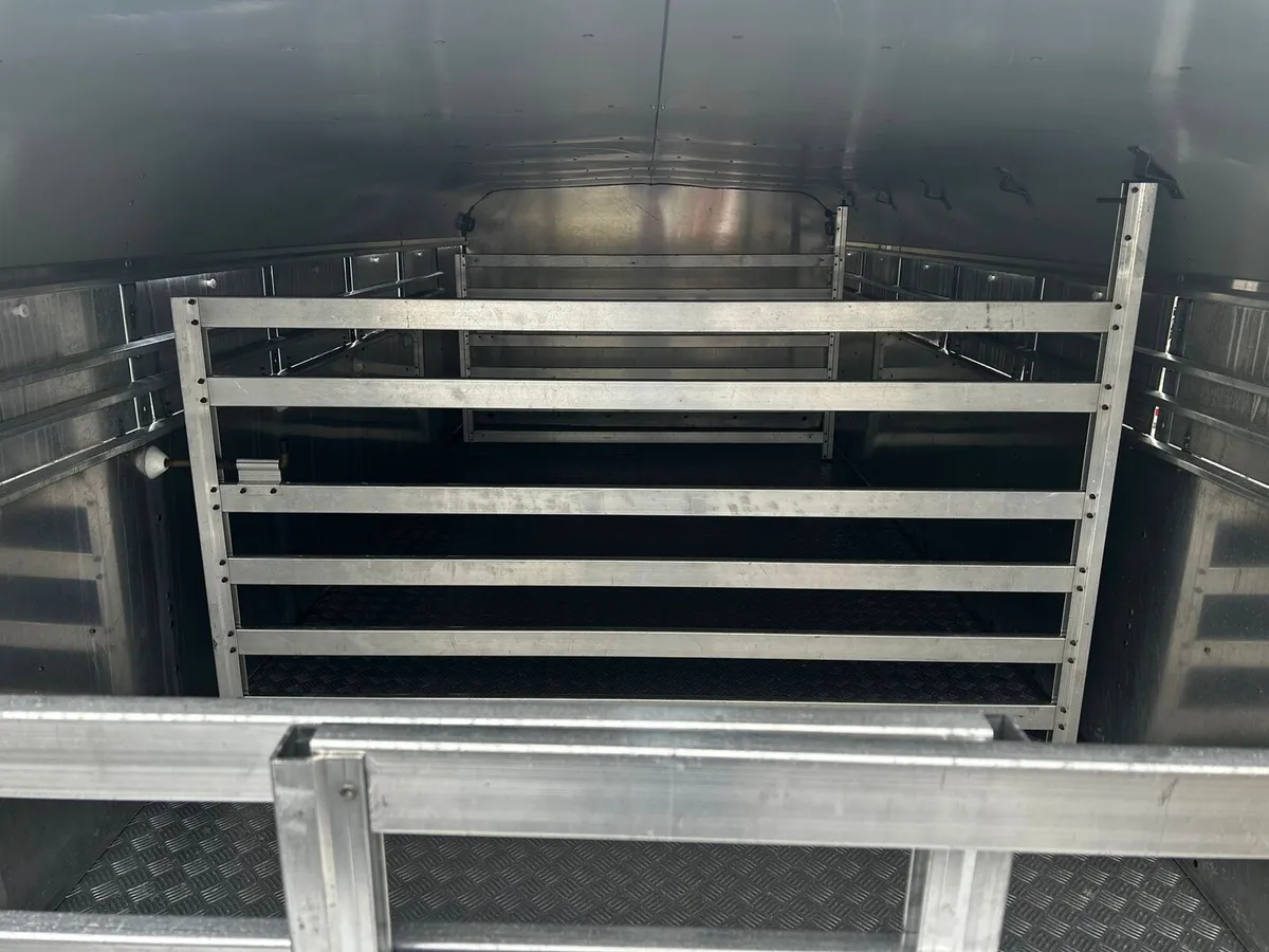 14ft Sheep trailer - Image 4