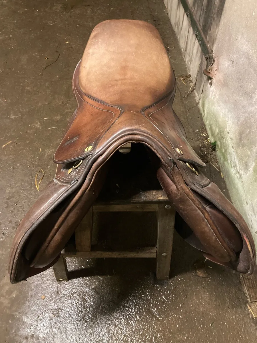 Saddle - Image 3