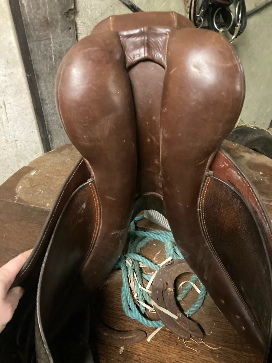 Saddle - Image 4