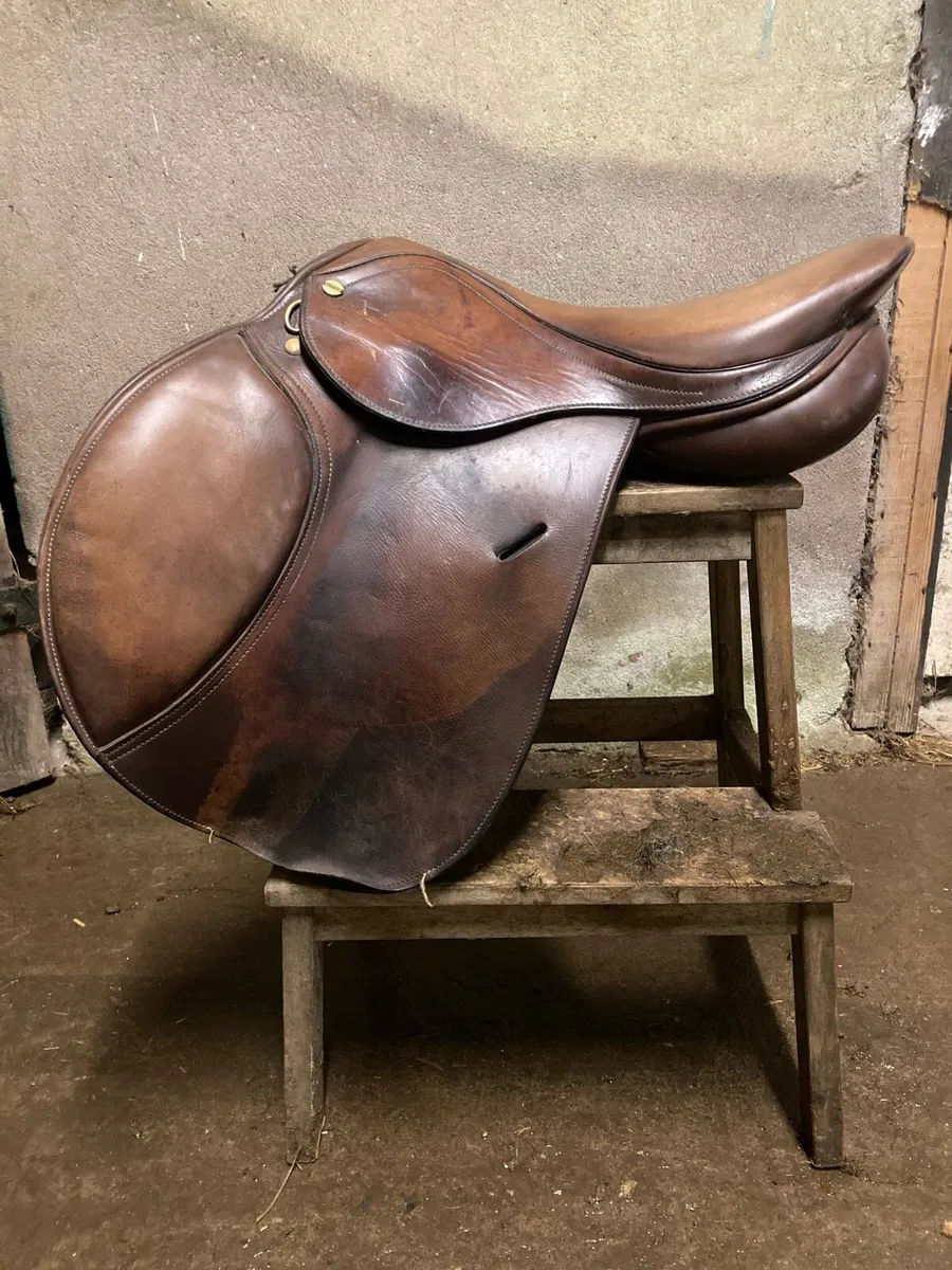 Saddle - Image 1