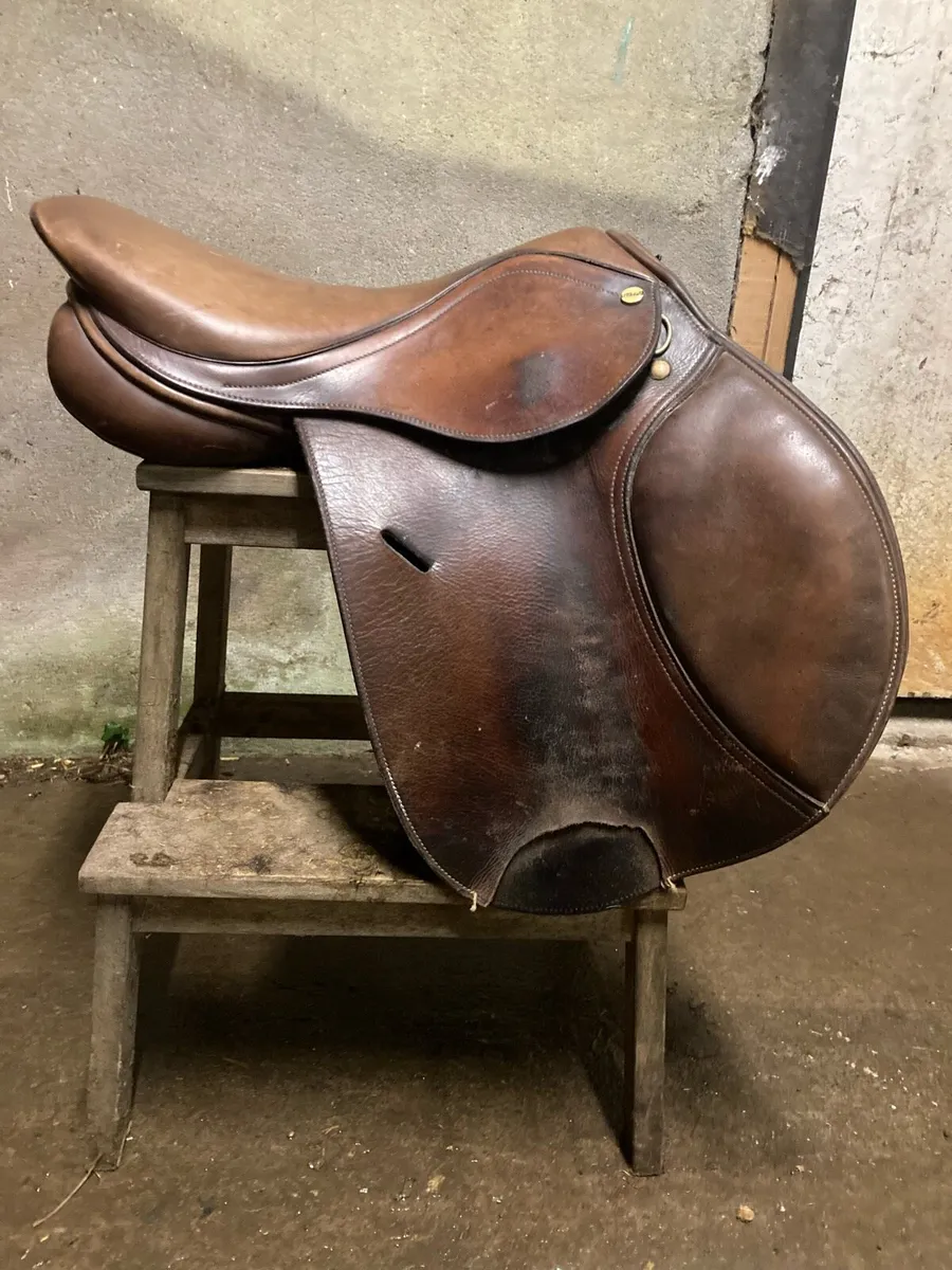 Saddle - Image 2