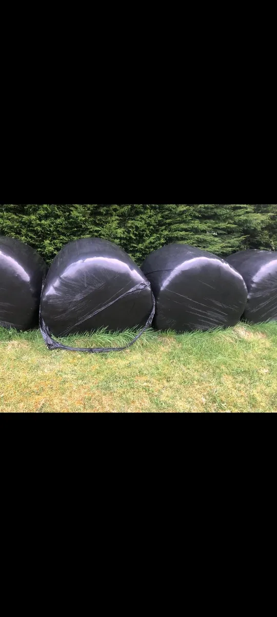 Bales of silage *FREE TO TAKE AWAY**