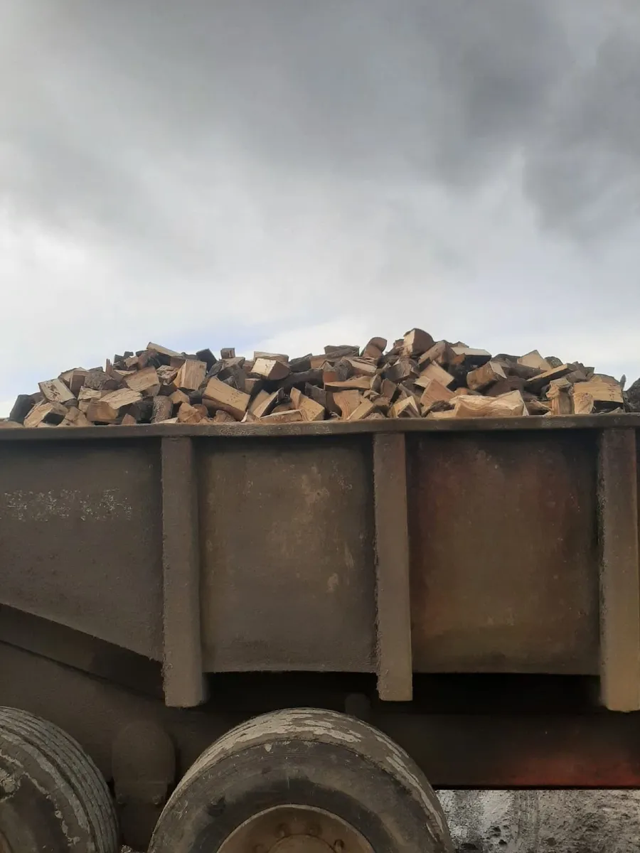 Firewood - Image 1