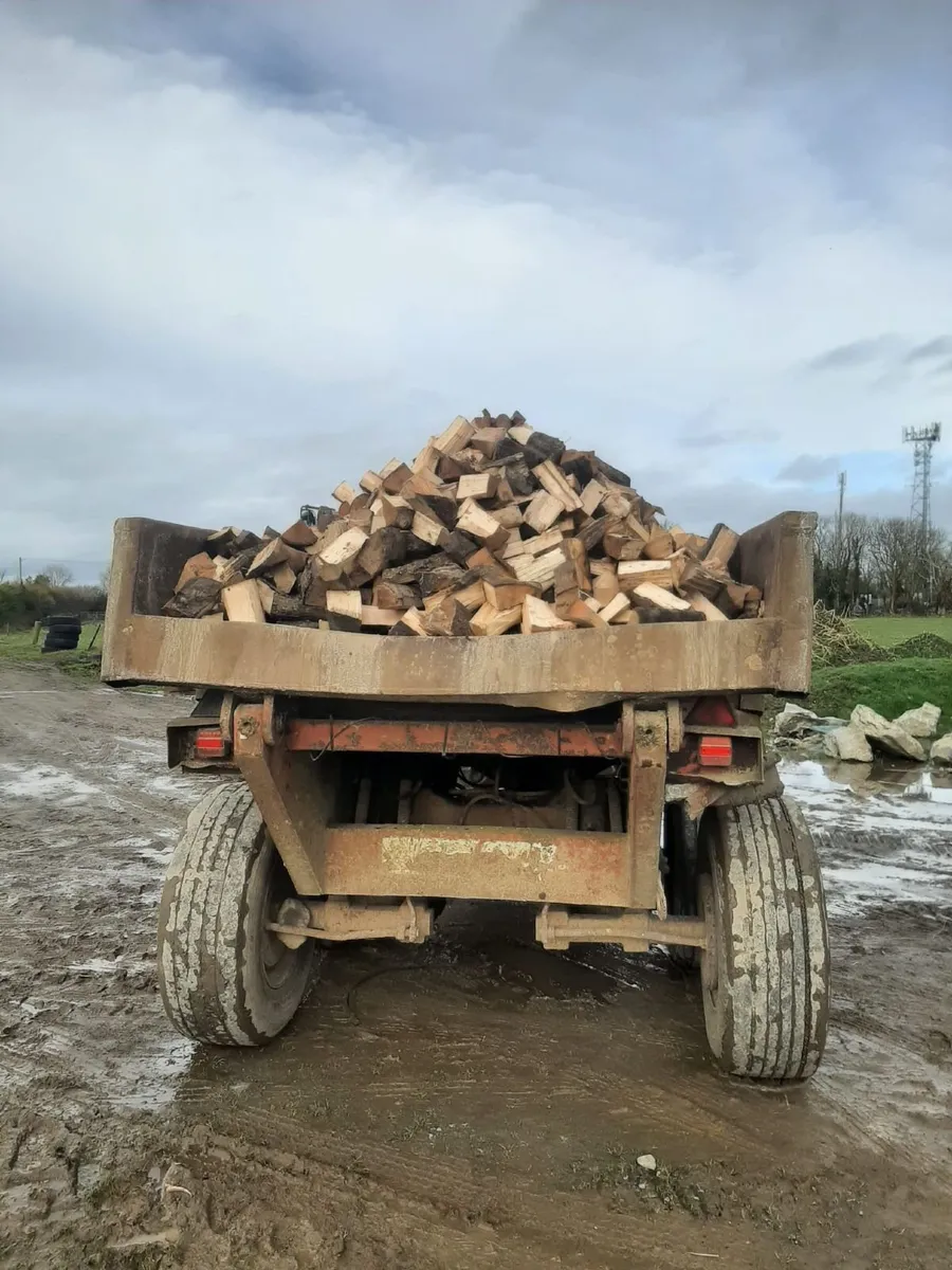 Firewood - Image 3