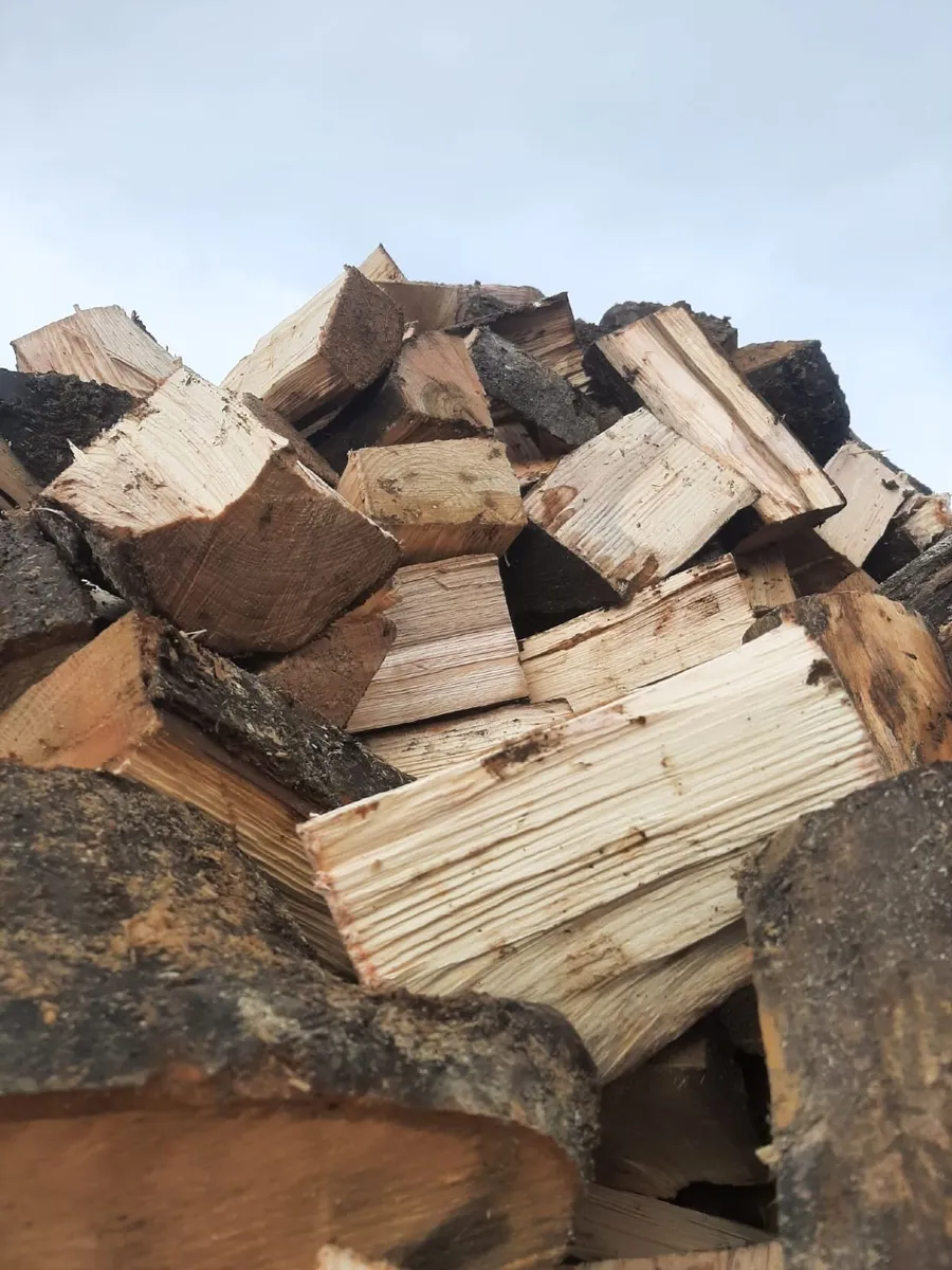 Firewood - Image 4