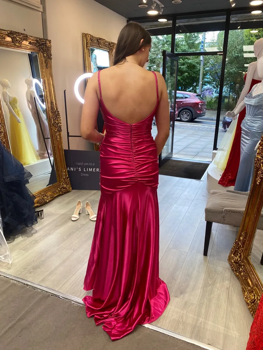 Dani’s Closet Debs Dress - Image 4