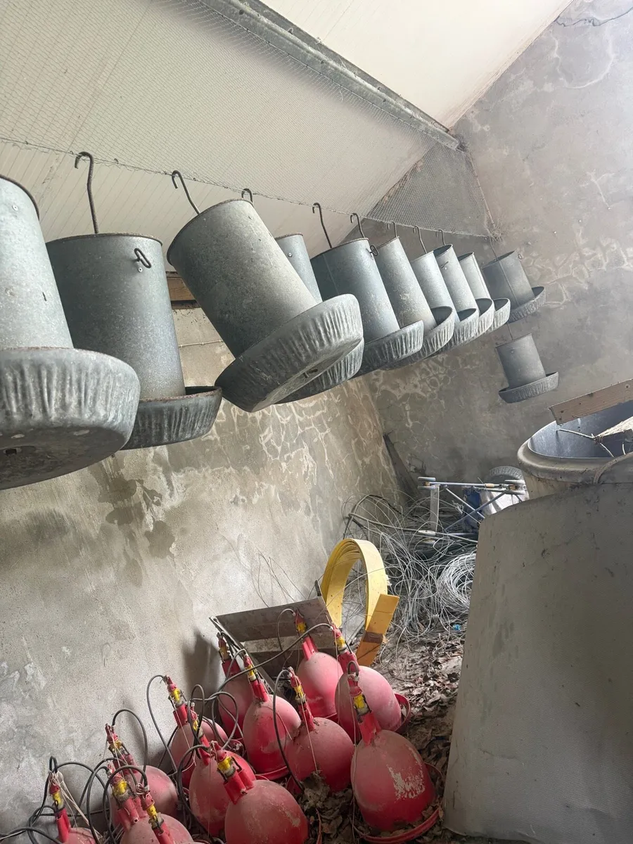 Poultry Equipment – Drinkers & Feeders Job Lot - Image 1