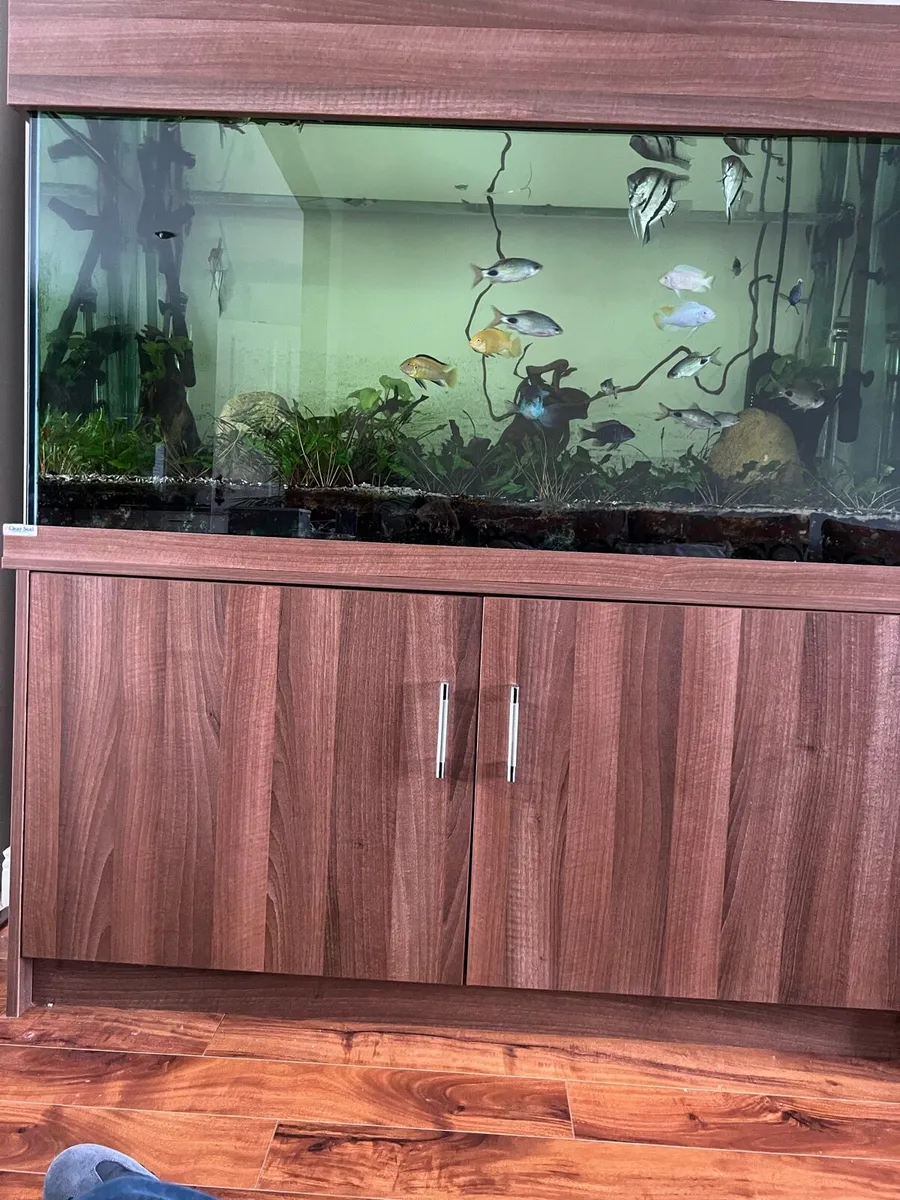 580 L Fish tank - Image 1