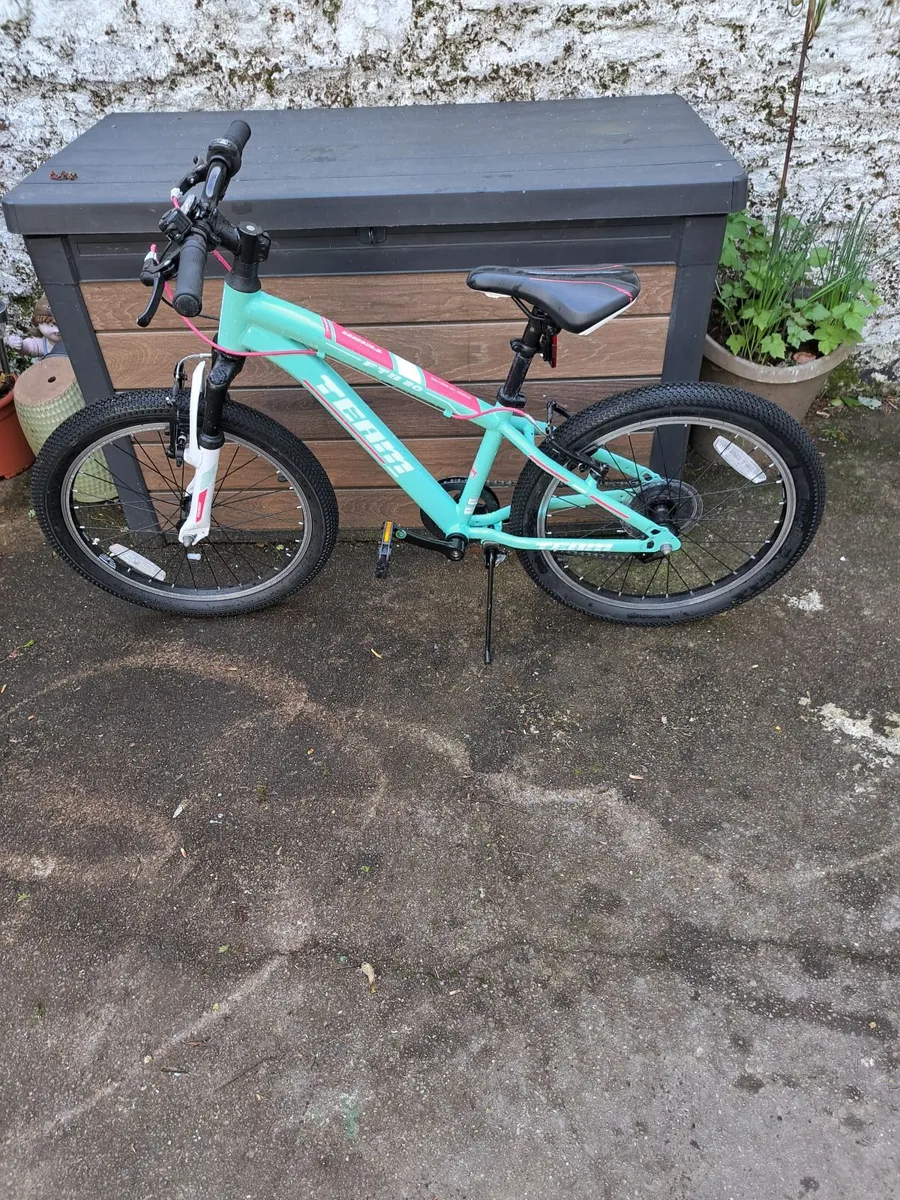 20 Inch Team Mountain Bike Mint - Image 1