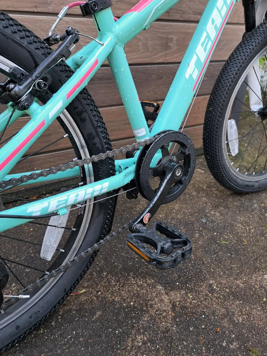 20 Inch Team Mountain Bike Mint - Image 3