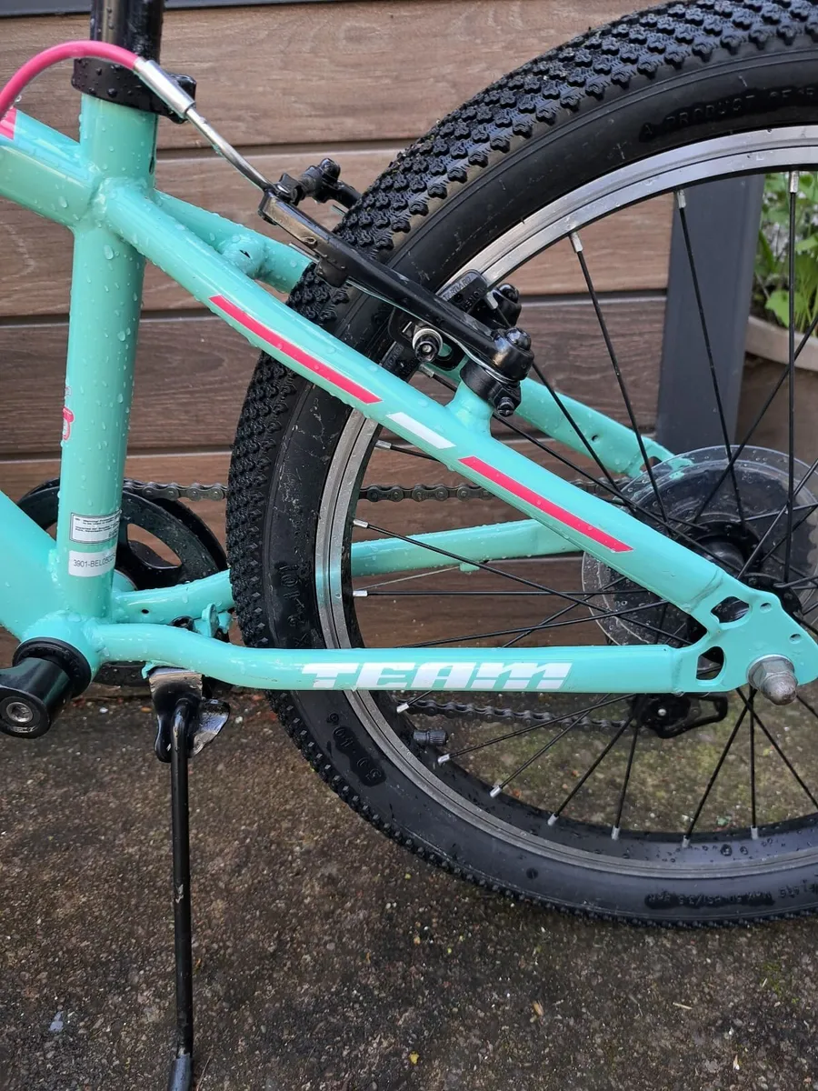 20 Inch Team Mountain Bike Mint - Image 2