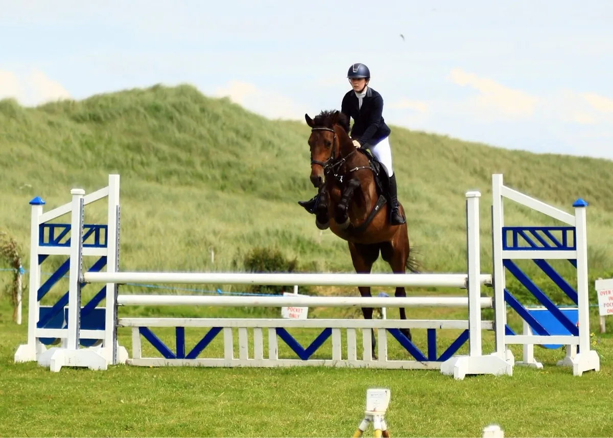 8YO ISH Mare - Image 3