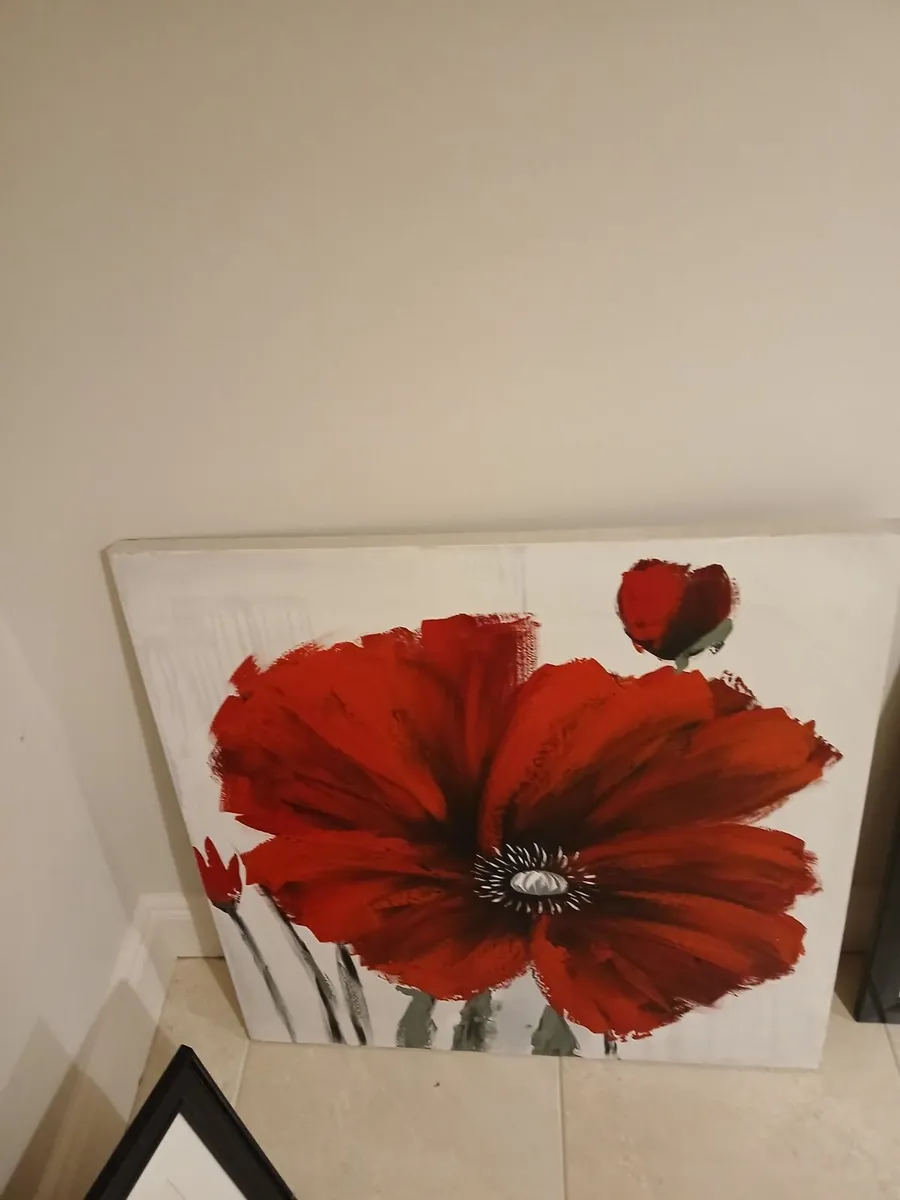 Framed & canvas pictures - Image 3